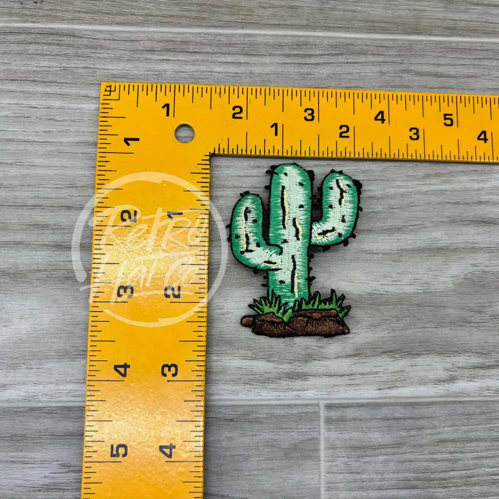Cactus Cactus