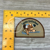 Retro Ducks Unlimited Patch