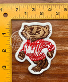 Vintage Wisconsin Badger Patch