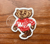 Vintage Wisconsin Badger Patch