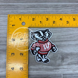 Wisconsin Badger Patch